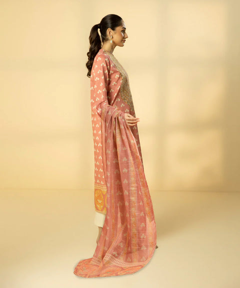 Sapphire 2 Piece - Embroidered Lawn Suit 23v2-10